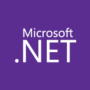 Microsoft .NET Framework 4.8.1 Build 9037 / Desktop Runtime 9.0.5