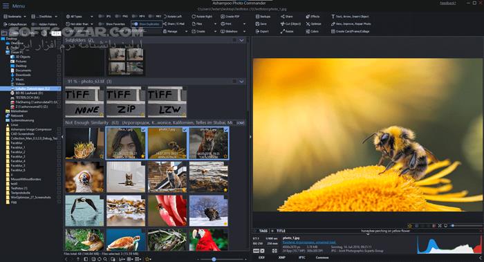 دانلود Ashampoo Photo Commander 18.0.5 (x64) - دانلود ویرایش عکس - سافت گذر