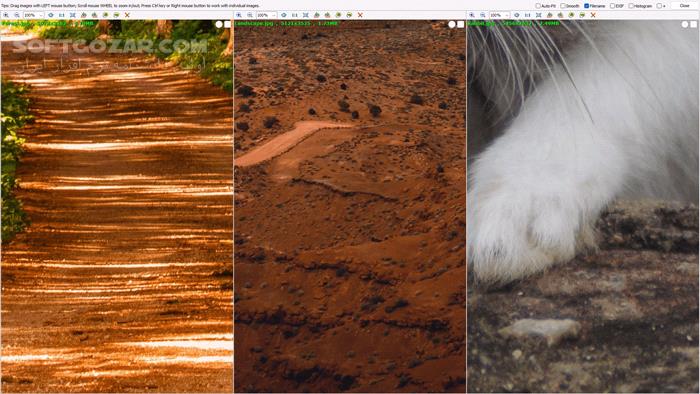 دانلود FastStone Image Viewer 8.0 Corporate - دانلود ویرایش عکس - سافت گذر