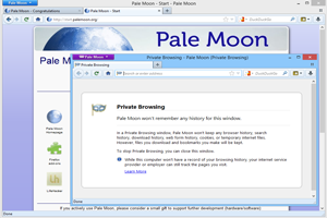 دانلود Pale Moon 33.7.1